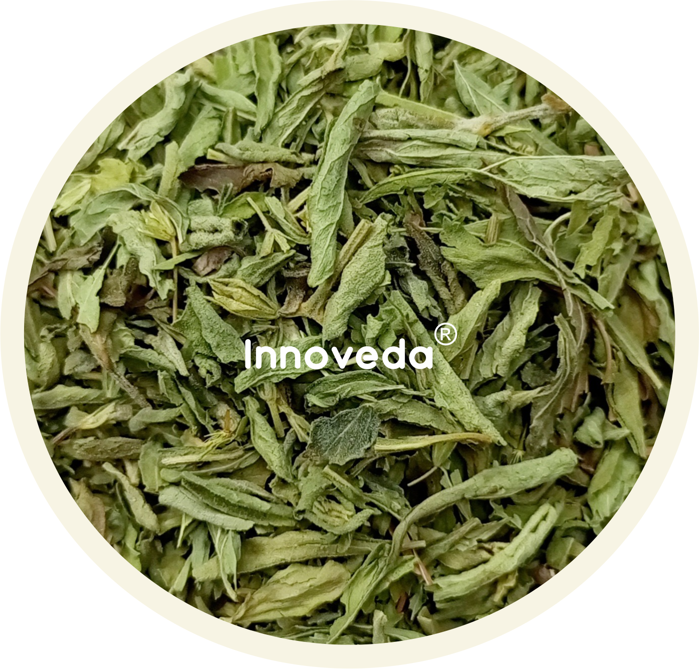 Innoveda Stevia Pure Leaves - 50 gms